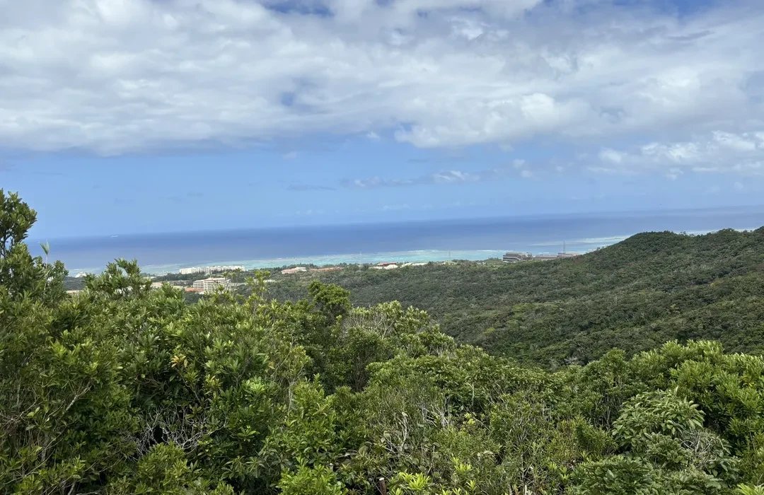 🌳 우루마 시민의 숲 공원 (우루마시민노모리코엔) 이미지 10